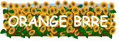 ORANGE BRRE 